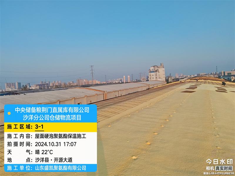 中央储备粮荆门直属库沙洋分公司仓储物流项目